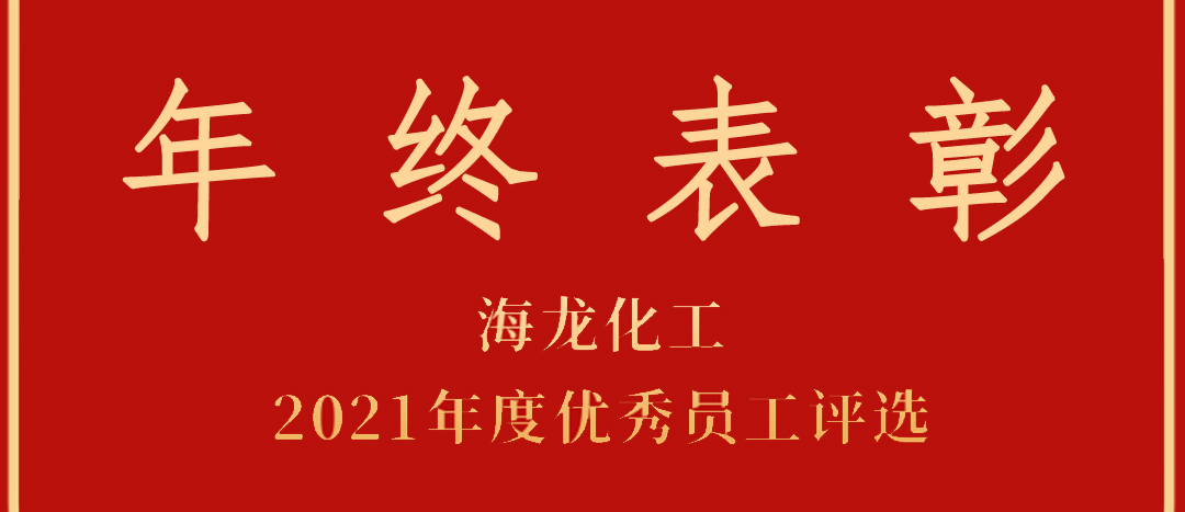 <strong>表彰！海龍化工2021年度優(yōu)秀員工優(yōu)秀部門評選</strong>