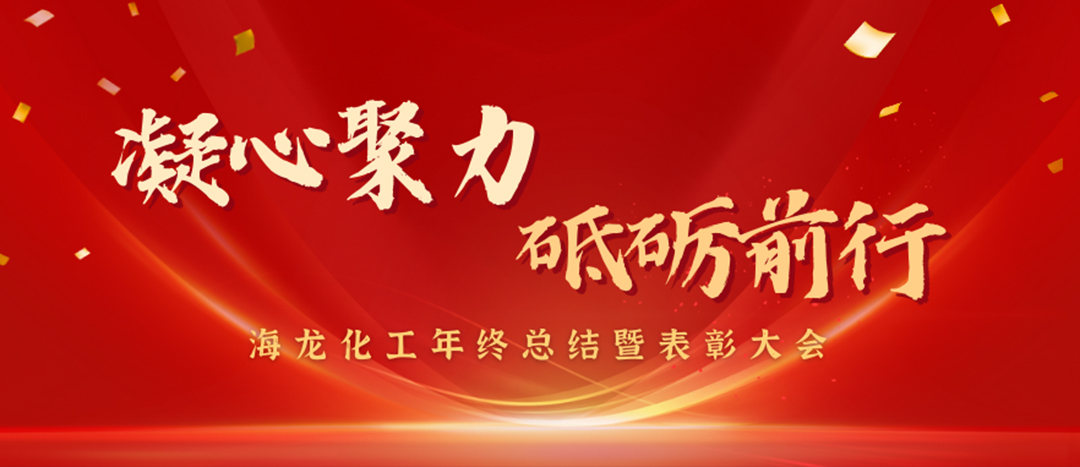 表彰 | 凝心聚力，砥礪前行，海龍化工年終總結(jié)暨表彰大會圓滿舉行