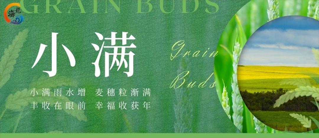 小滿(mǎn)